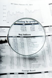 内蒙古同志供卵选性别：nt值偏高风险大吗下一步检查什么？